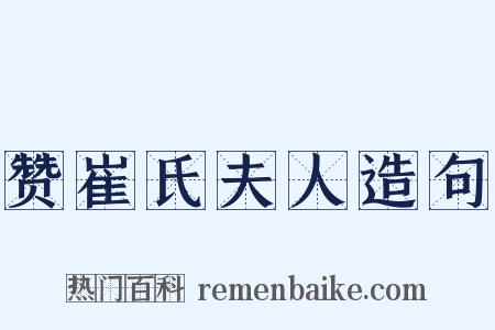 赞崔氏夫人造句是什么意思的图片